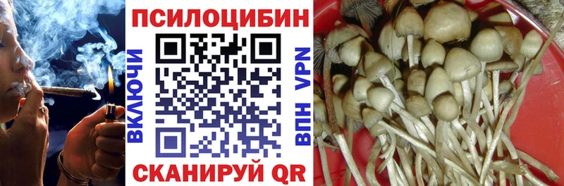 купить наркотики сайты  Лихославль  Галлюциногенные грибы прущие грибы 